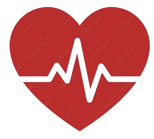 First Aid & CPR Training