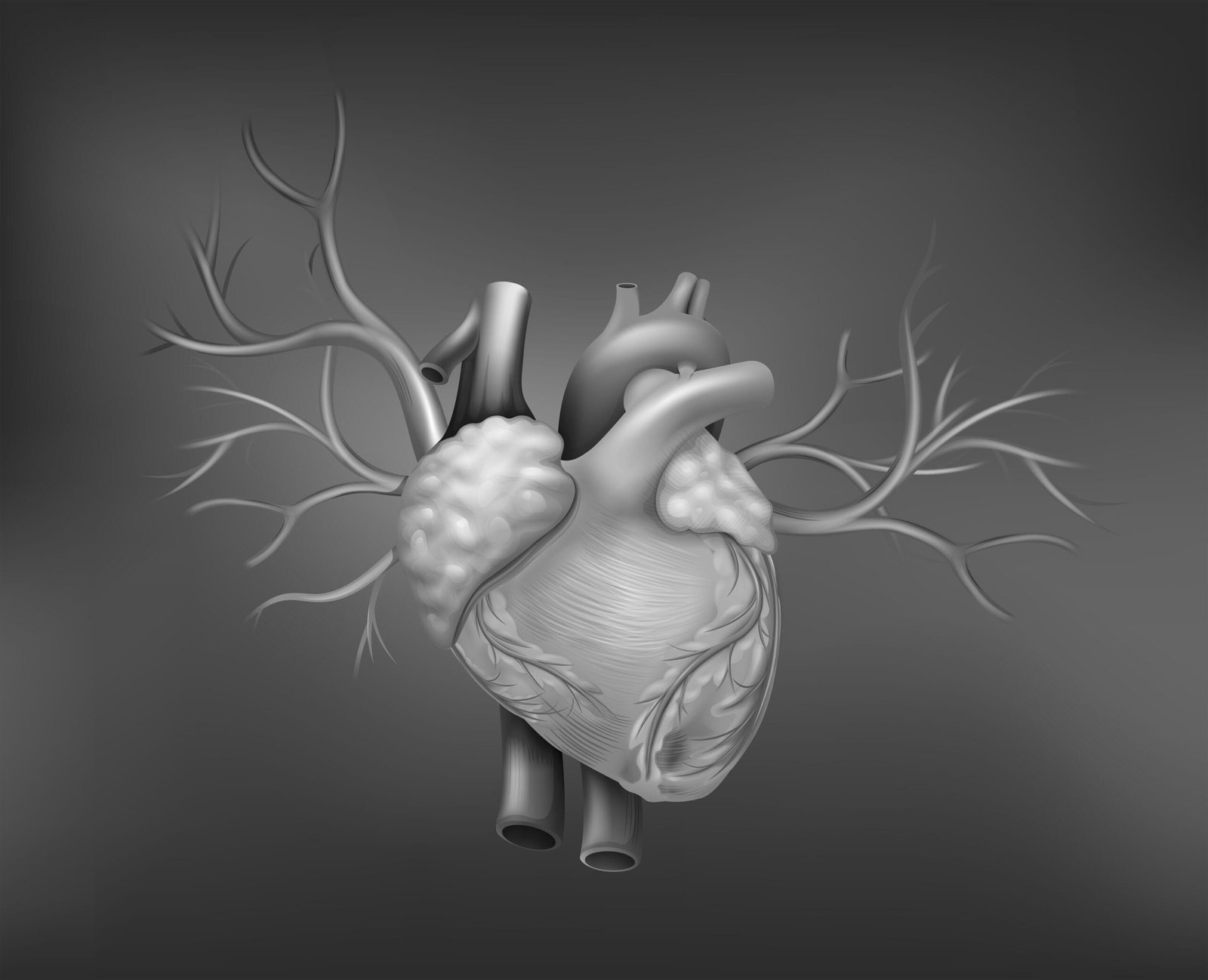 Heart health and cardiovascular disease awareness